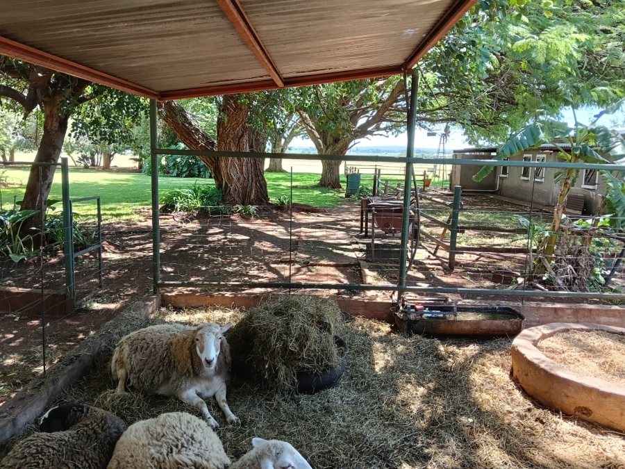 8 Bedroom Property for Sale in Brits Rural North West